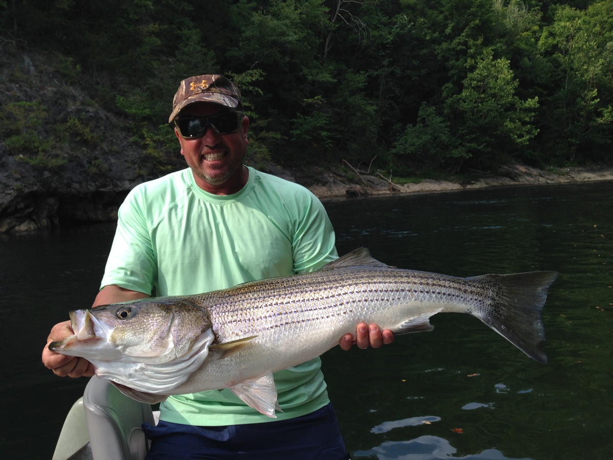 Striper Packages