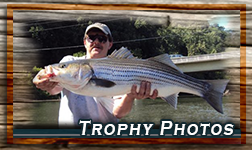 Trophy Photos