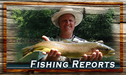 Fishing Reports