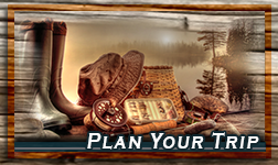Plan Your Trip