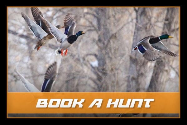 Book a Hunt