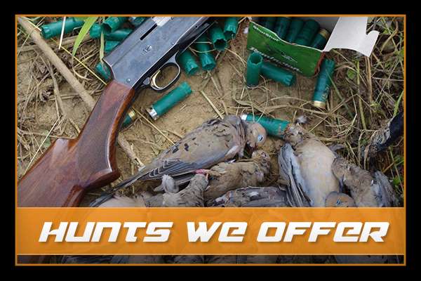 Hunts We Offer