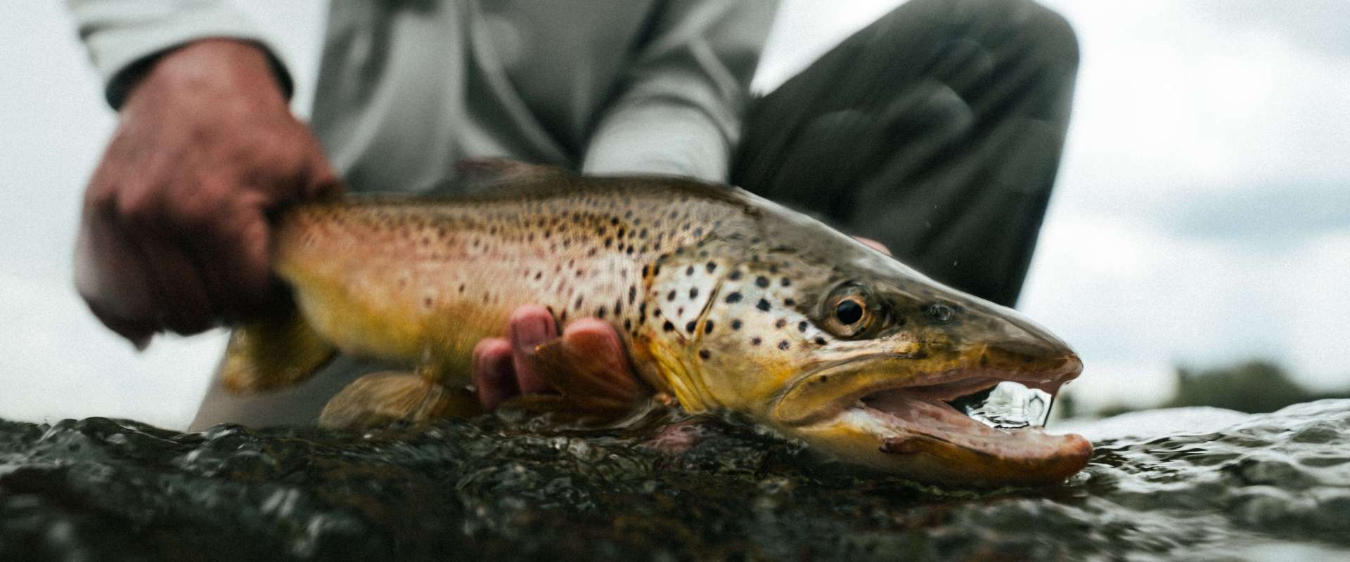 Bighorn River Fly Fishing Trips