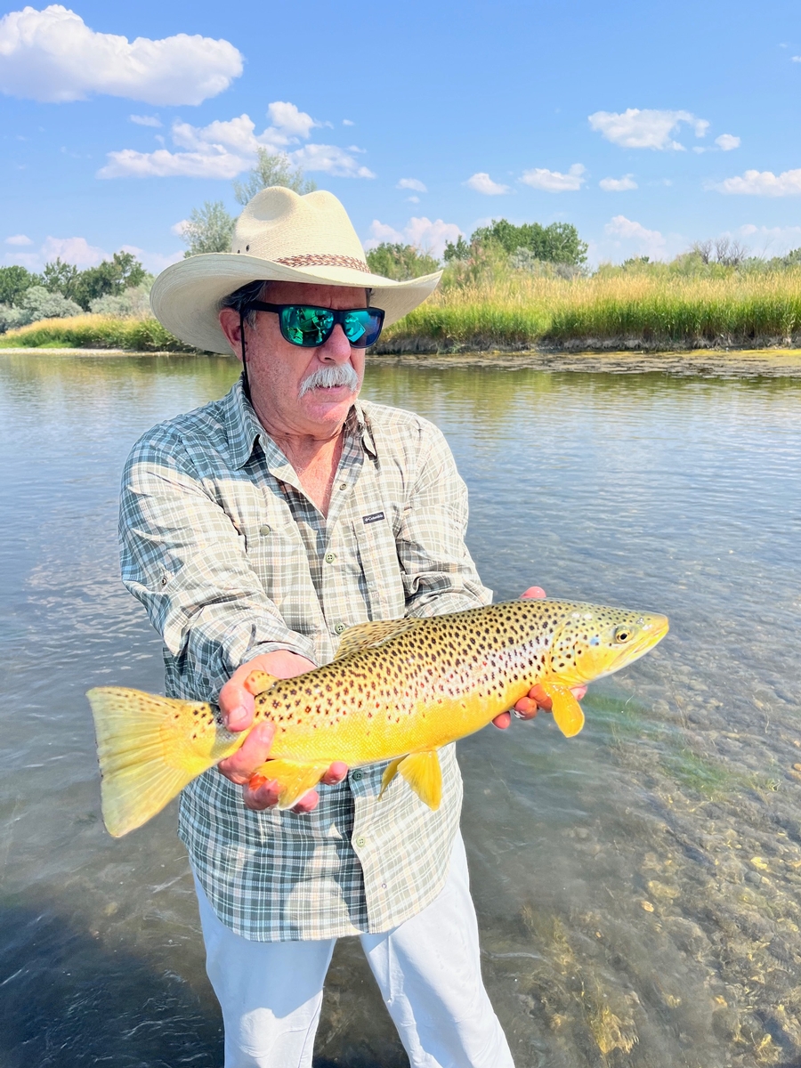 Bighorn River Trout Fishing