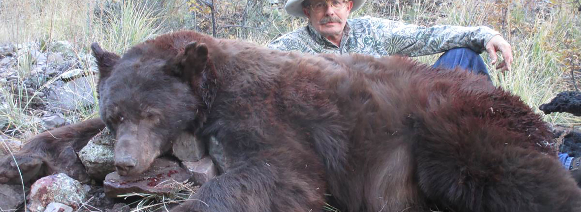 New Mexico Bear Hunting Outfitters