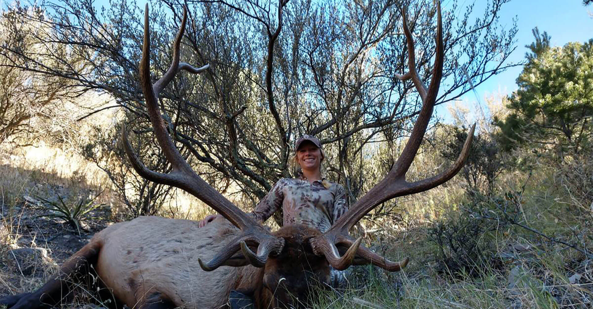 new-mexico-elk-hunting.jpg