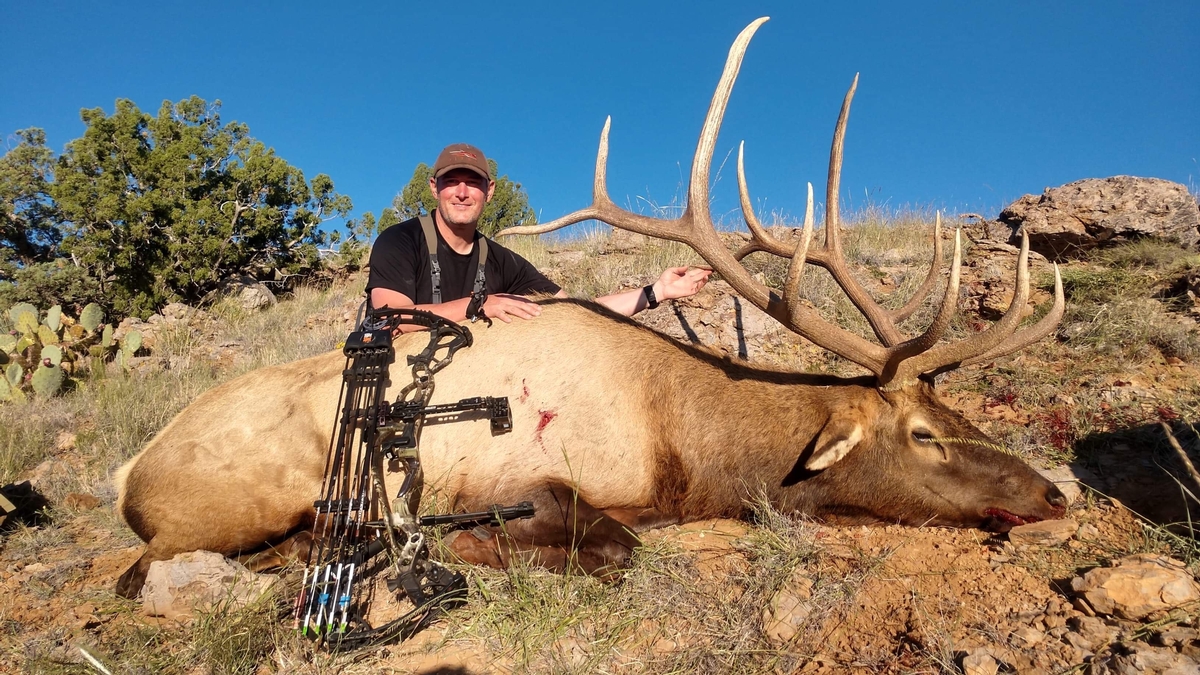 Archery Elk Hunt - New Mexico
