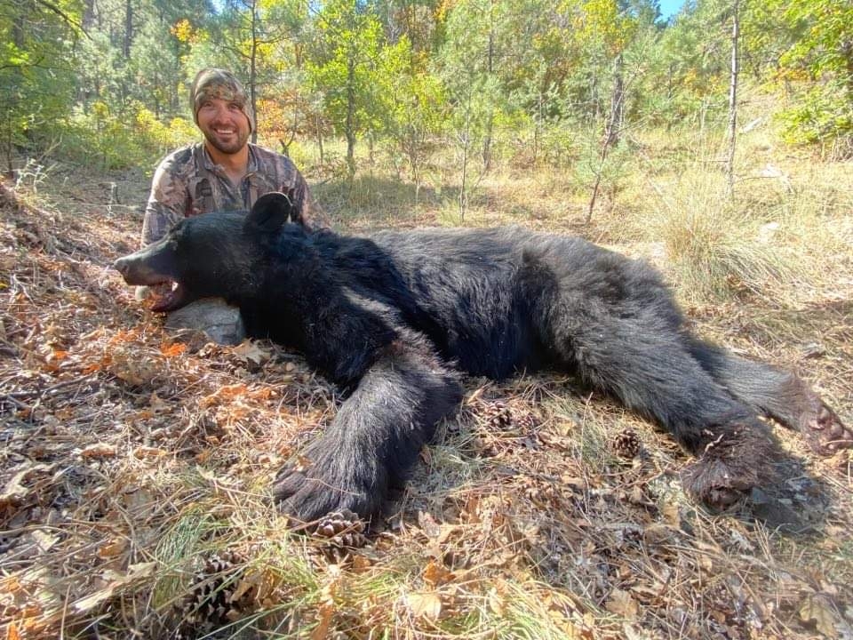 New Mexico Black Bear Hunt