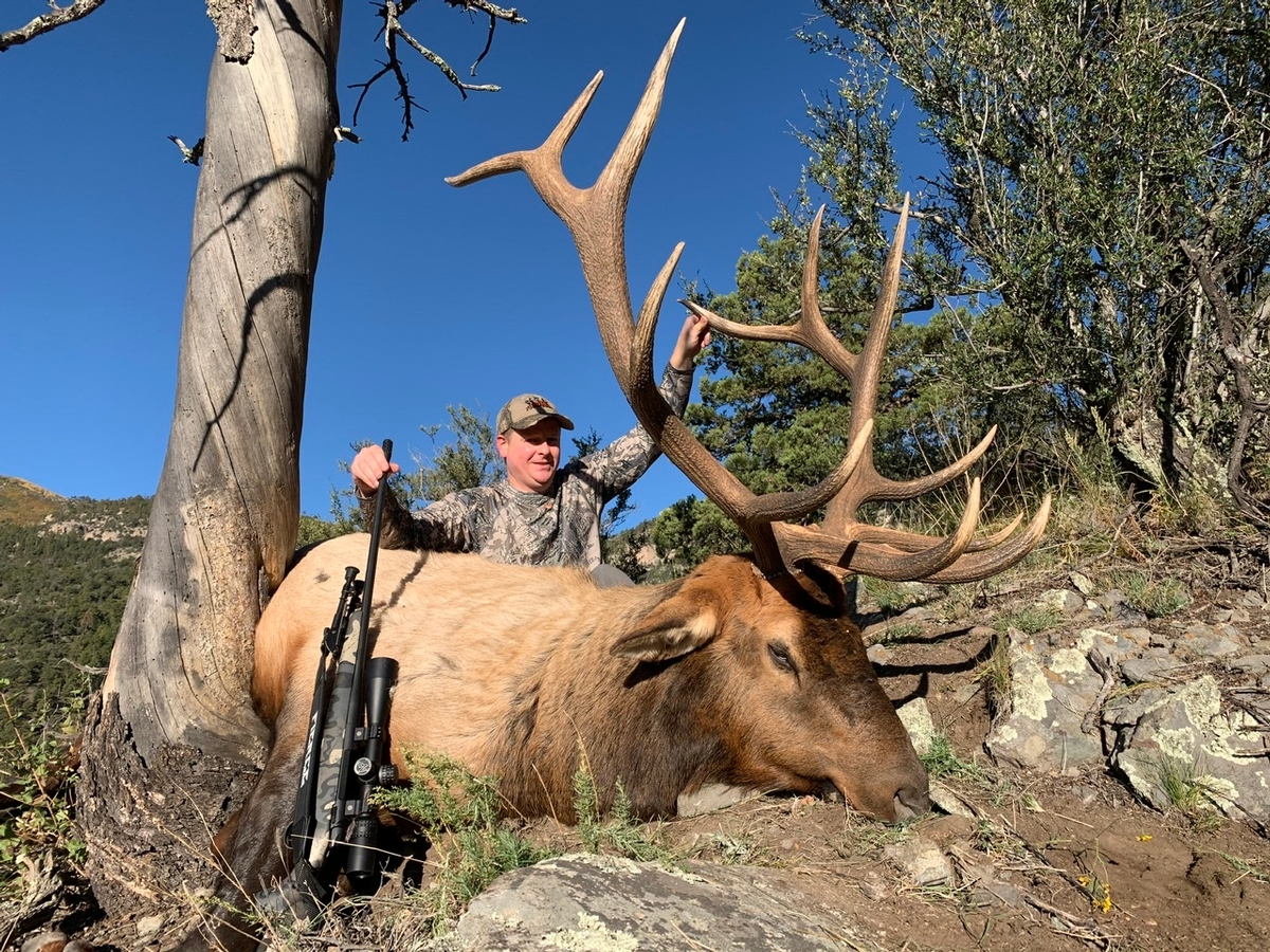 Rifle Elk Hunt - New Mexico