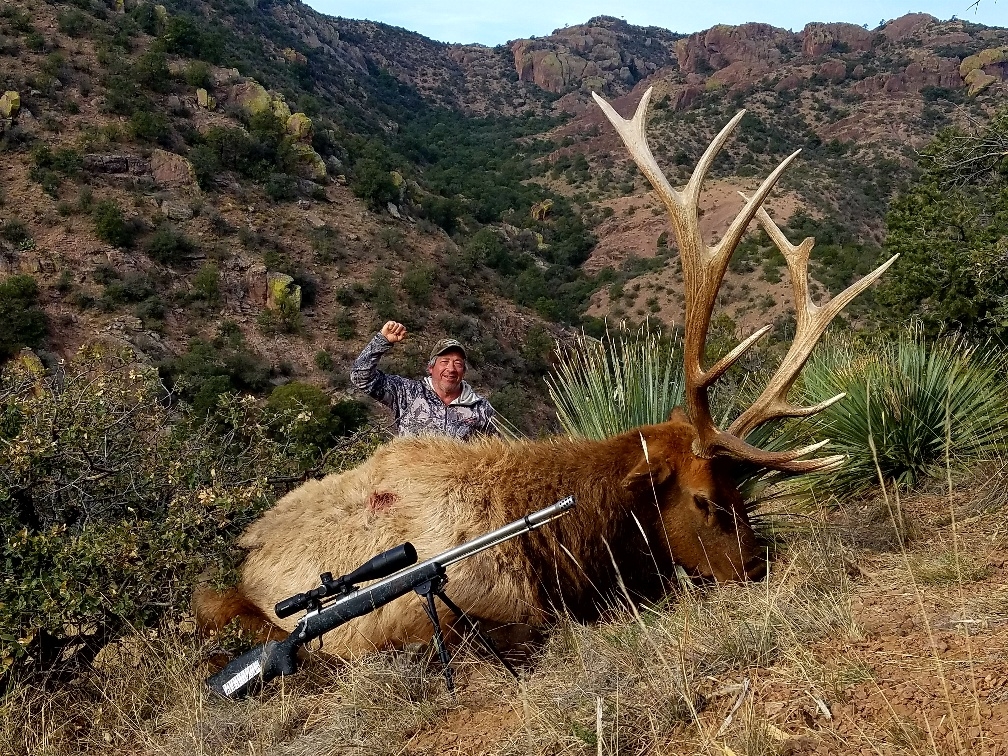 Elk Hunting Success in NM