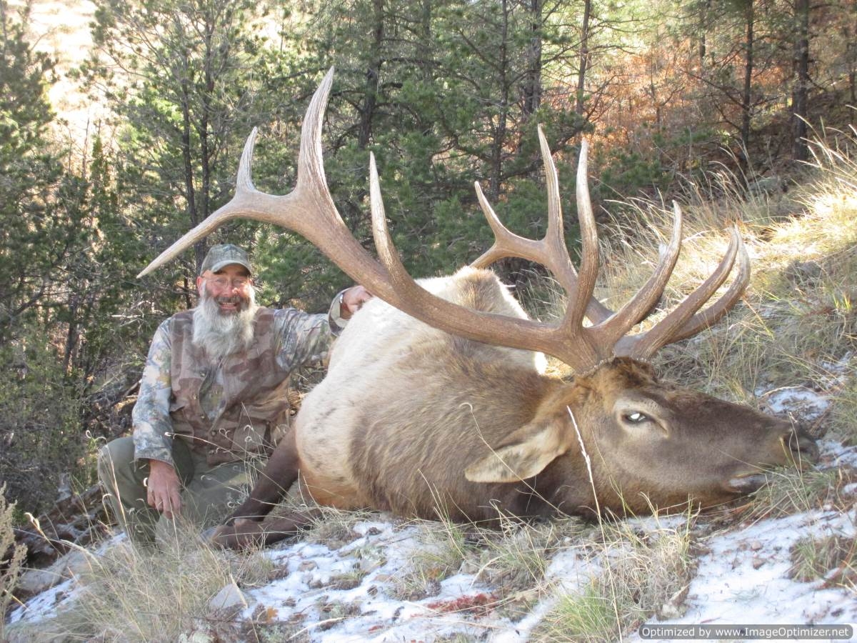 New Mexico Elk Guides