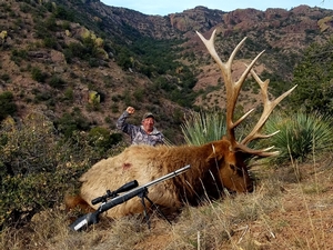 New Mexico Elk Hunts