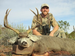 West Texas Desert Mule Deer