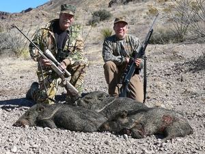 javelina0001.jpg