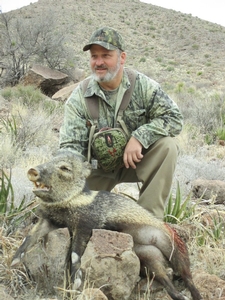 javelina0007.jpg