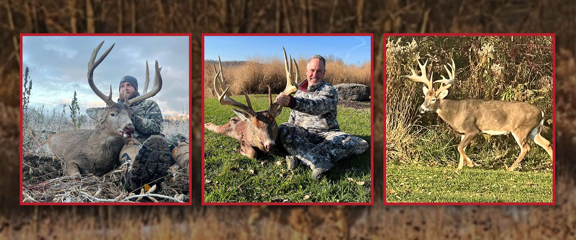 BigTine Whitetails Testimonials