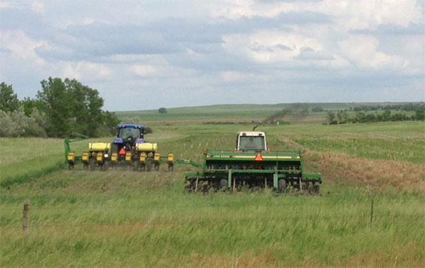 Spring Food Plot Planting