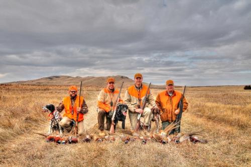 2013 South Dakota Pheasant Hunting Year Review