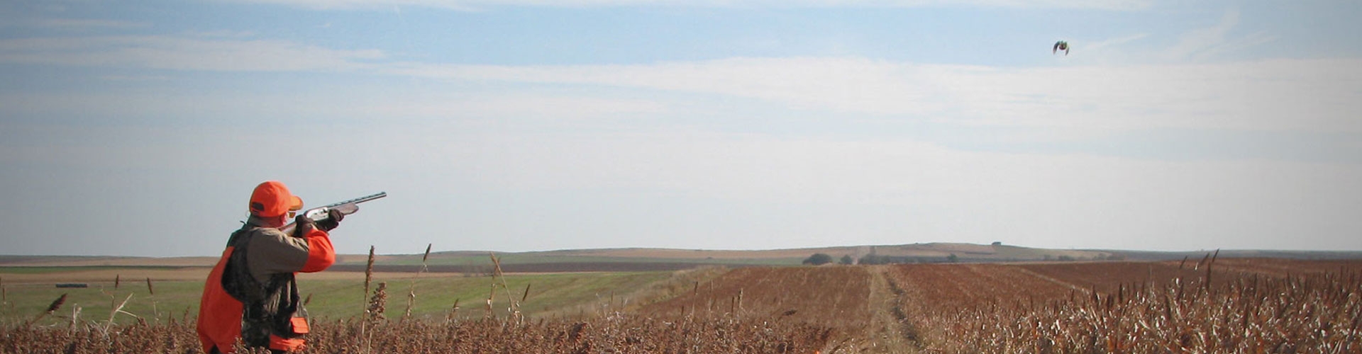 South Dakota Early Season Pheasant Hunts