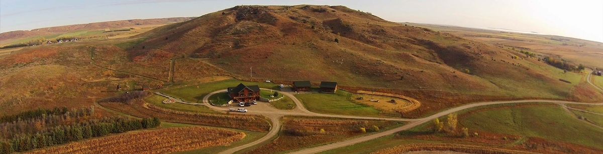 South Dakota Pheasant Hunting Ranch