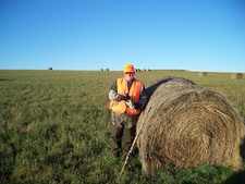 Prairie Chicken?