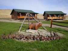 The Chalets Next Door To The Lodge