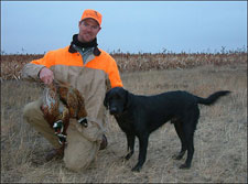 Black Lab A Daily Limit of Roosters