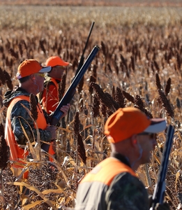 corporate-pheasant-hunting-lodge-sd.JPG