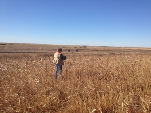 first-pheasant-2012-sd-pheasant-opener.jpg