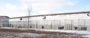 heated-kennels.jpg