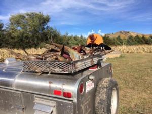 pheasant-hunting-in-sd-bbr04.JPG