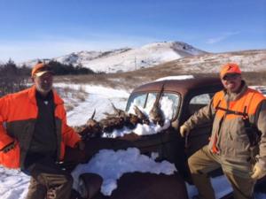 pheasant-hunting-in-sd-bbr09.JPG