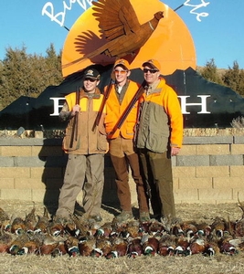 pheasant-hunting-rates-in-sd.JPG