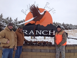 snow-pheasant-hunting-golden-triangle.jpg