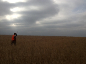 walking-crp-pheasant-hunting.jpg