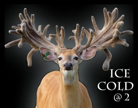 Ice_Cold.jpg