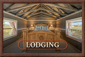 Lodging