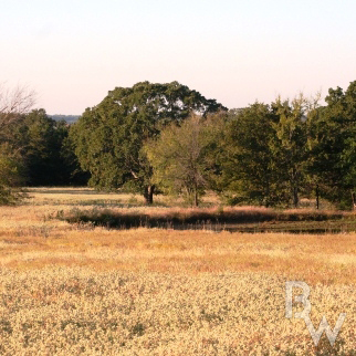 hunting-land-oklahoma-deer.jpg