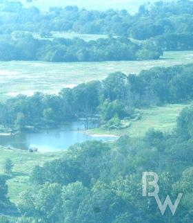 whitetail-hunts-oklahoma-land.jpg