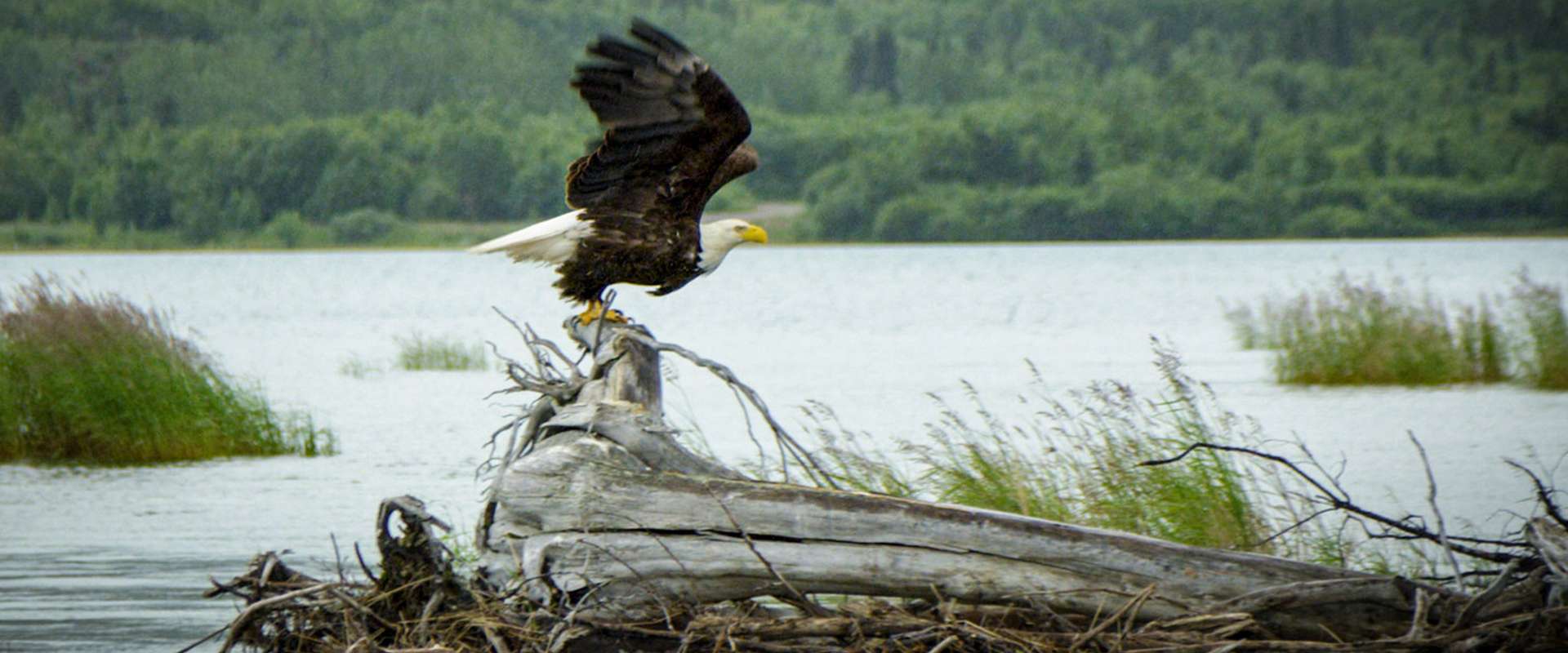 Alaskan Wilderness Adventures