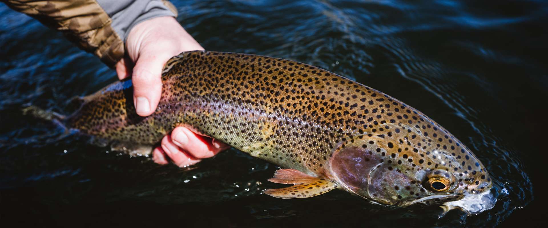 Guided & Unguided Wilderness Fishing Trips in Alaska