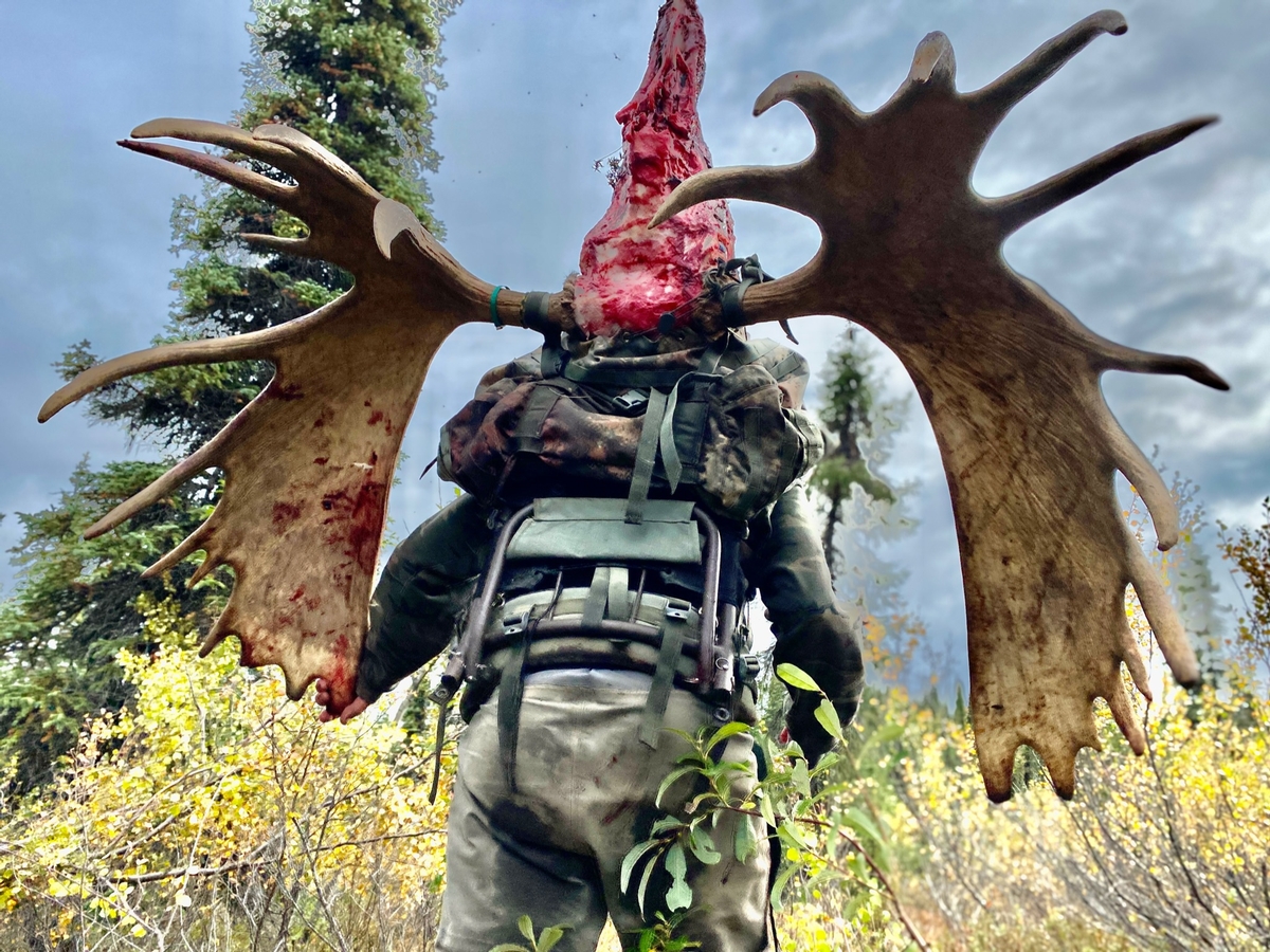 Alaska Moose Hunt