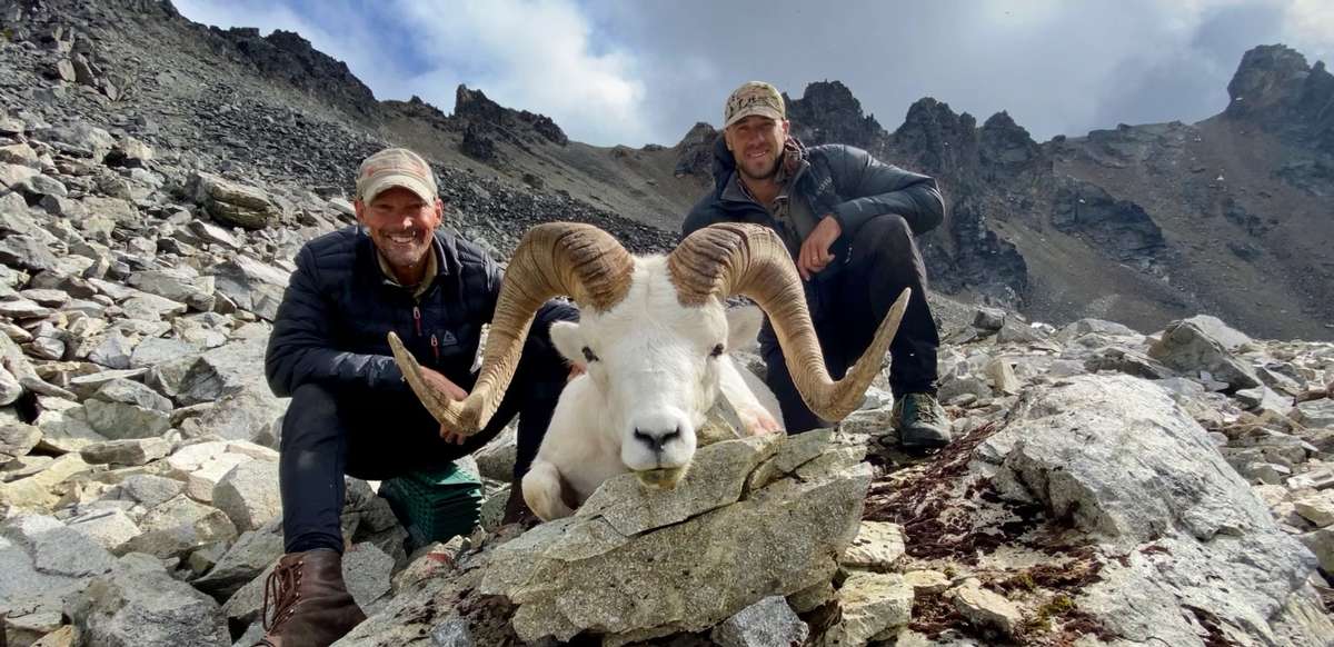 Dall Sheep Hunt Alaska