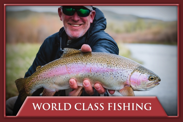 Experience World Class Fishing with Bushwhack Alaska