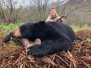  Black Bear/ Wolf
