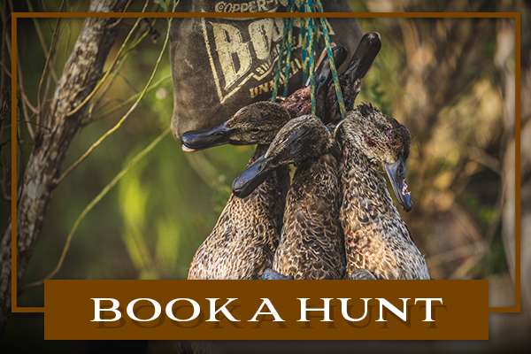 Book a Hunt with Commanders Corners 