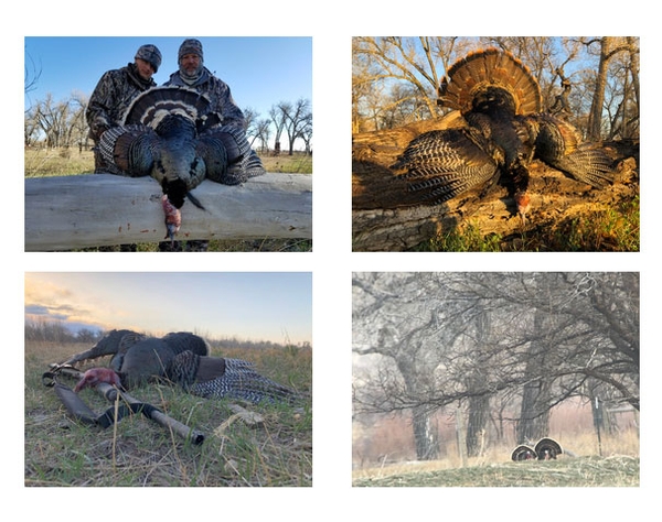 Successful 2018 Spring Turkey Season