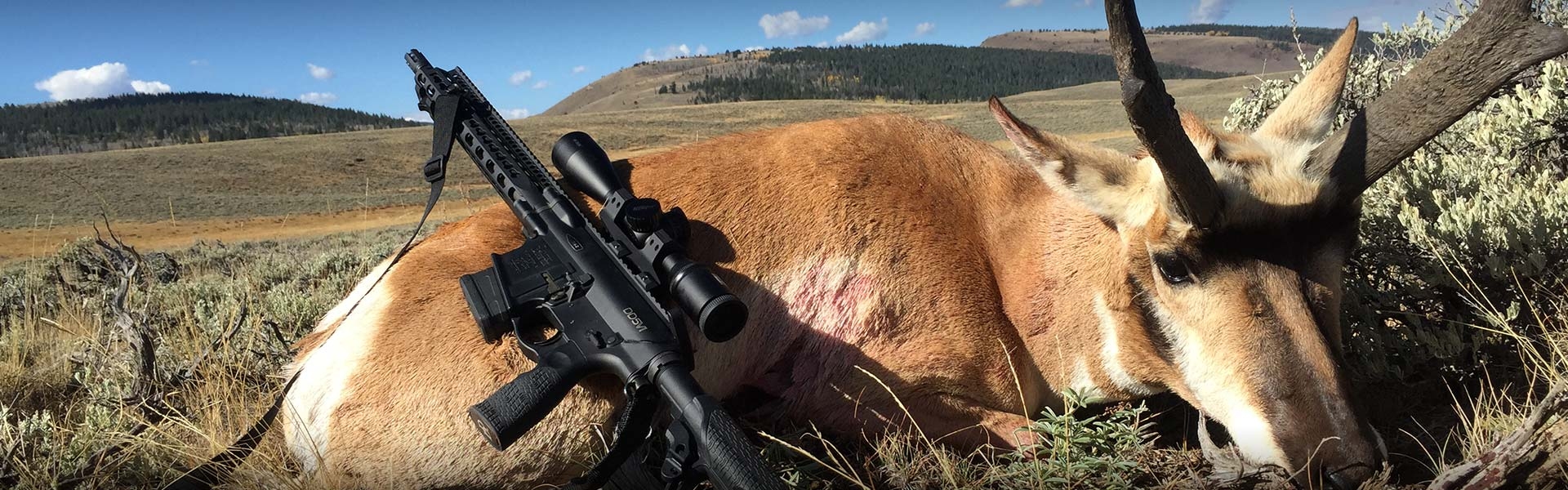 Colorado Antelope Hunting Outfitters - Guided Hunts