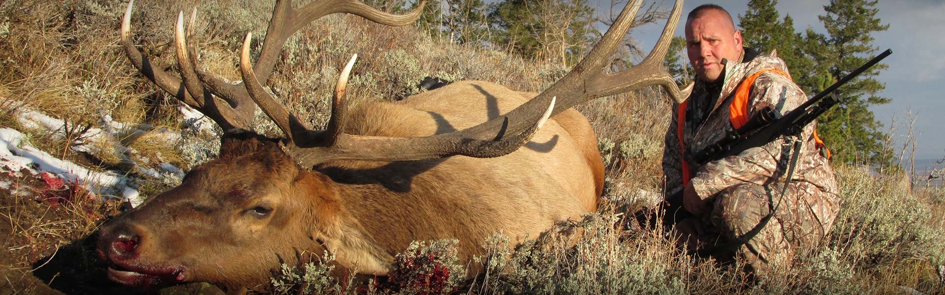 Colorado Elk Hunting Outfitters | Free Range Elk Hunts