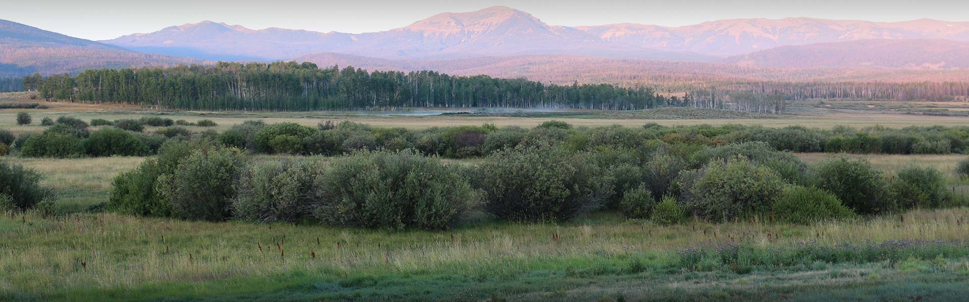 Colorado Hunting